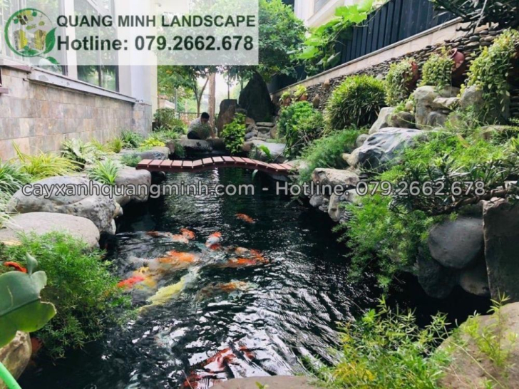 Thi công hồ cá Koi Nhật tiêu chuẩn ở TPHCM, Đồng Nai