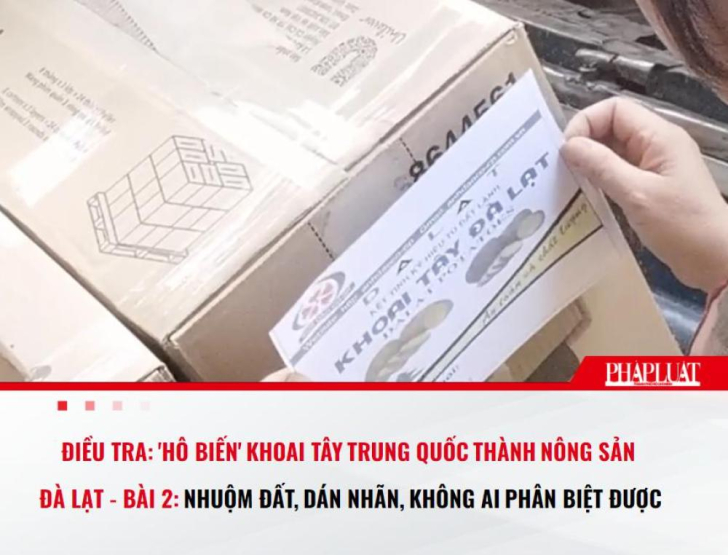 ĐIỀU TRA: 'Hô biến' khoai tây Trung Quốc thành nông sản Đà Lạt - Bài 2: Nhuộm đất, dán nhãn, không ai phân biệt được