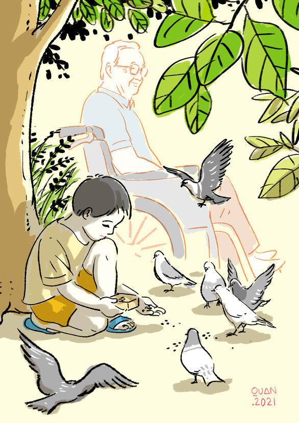 Truyện ngắn: Bầy chim câu trong hẻm nhỏ