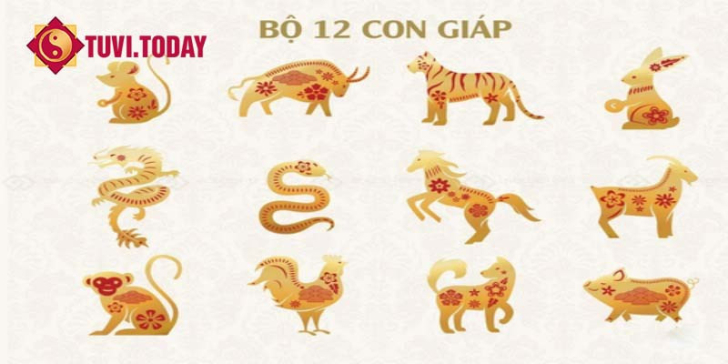 Khám phá chi tiết tử vi 12 con giáp chuẩn nhất năm 2023