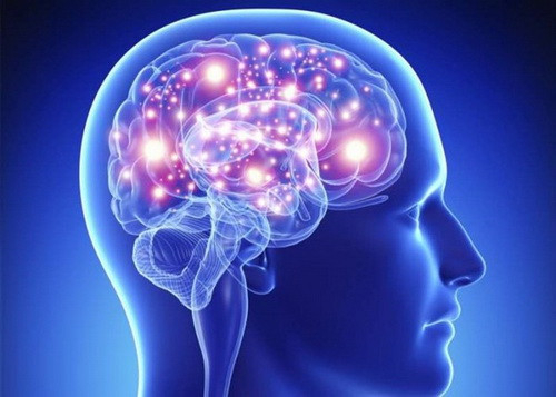 11 sự thật thú vị về bộ não