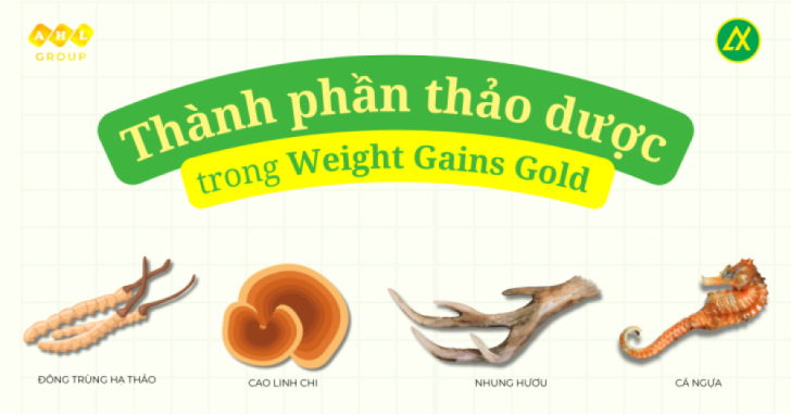 Các Thành Phần Thảo Dược Có Trong Weight Gains Gold