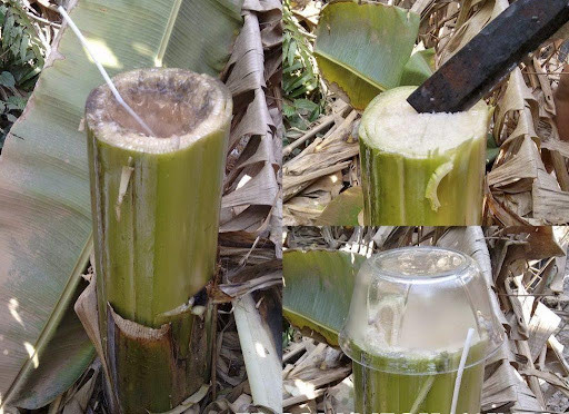 5 Cách điều trị bệnh tiểu đường dân gian