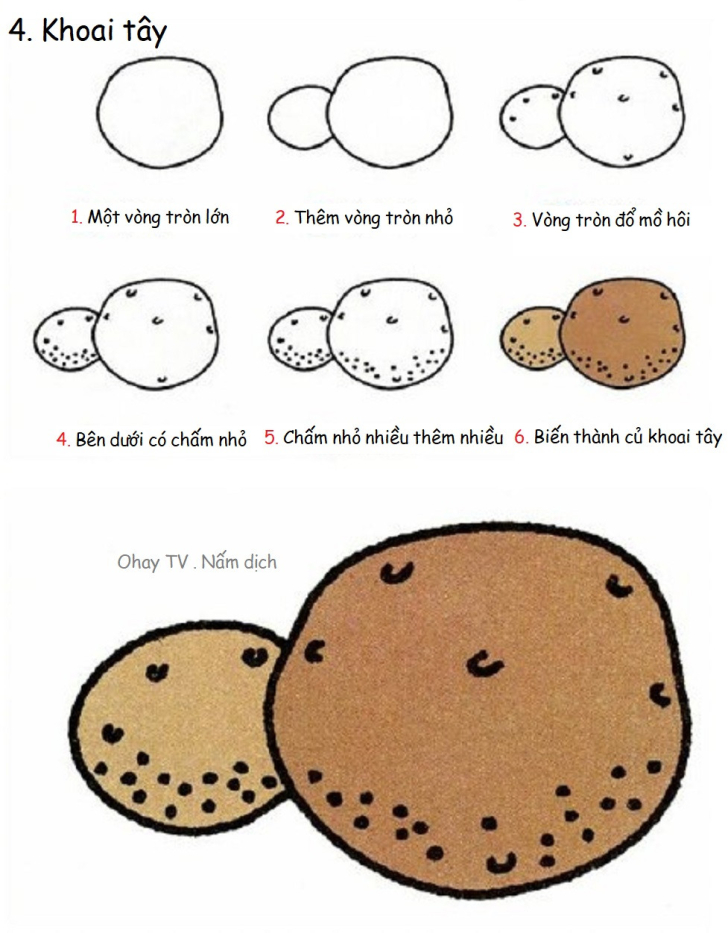 Dạy bé vẽ hình đơn giản - Các loại rau củ quả - hình ảnh 14