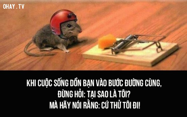 22 sự thật về cuộc sống chỉ những người thực sự trưởng thành mới hiểu