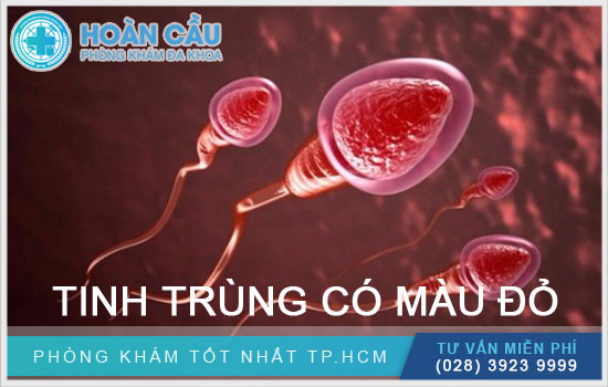 NHỮNG NGUYÊN NHÂN THƯỜNG XẢY RA KHI TINH TRÙNG CÓ MÀU ĐỎ