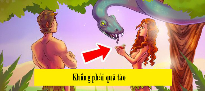 Những điều lầm tưởng thường gặp nhưng cực kỳ sai lầm - Bạn có thấy mình trong đó?