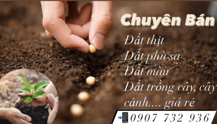 Cung cấp đất màu trồng cây giá rẻ tại Đồng Nai, Long An
