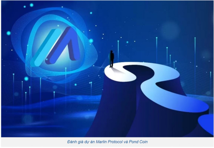 POND coin là gì? Đánh giá dự án Marlin Protocol và POND coin