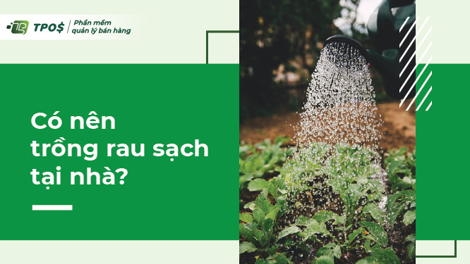 Có nên trồng rau sạch tại nhà?