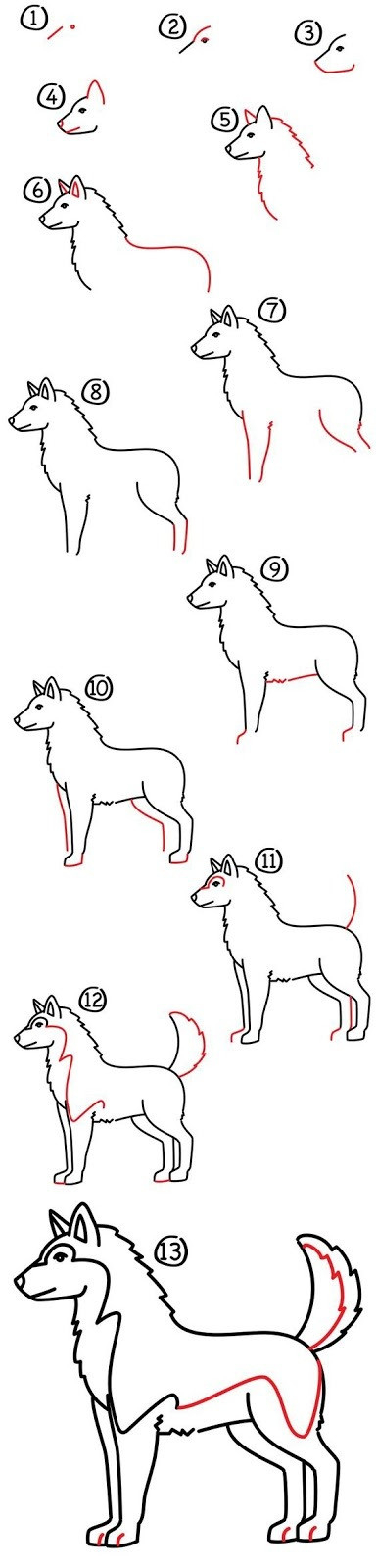 Bí quyết cách vẽ con chó sói đơn giản cho người mới bắt đầu