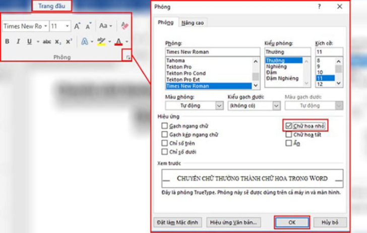 Chuyển Đổi Kiểu Chữ Dễ Dàng Trong Word & Excel: Hướng Dẫn Chi Tiết