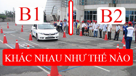 Bằng lái B1 và B2 khác nhau ra sao và học ở đâu tại TP HCM