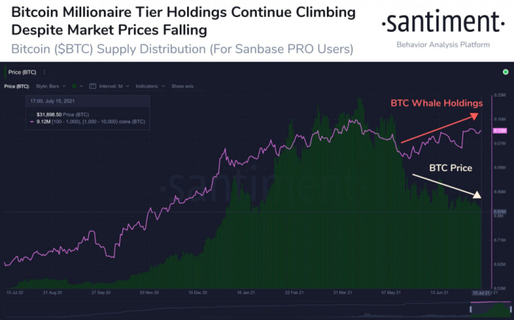 Cá voi vẫn tiếp tục tăng lượng BTC tích trữ bất chấp giá giảm