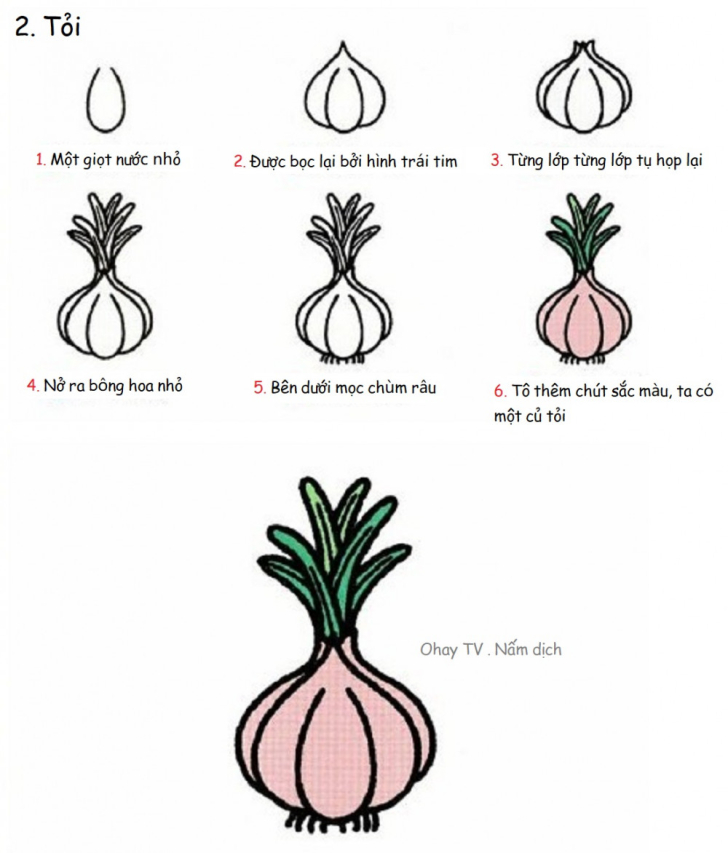 Dạy bé vẽ hình đơn giản - Các loại rau củ quả - hình ảnh 12