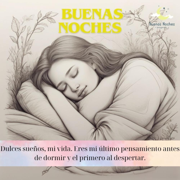 Envía Tiernas Imágenes de Buenas Noches Ahora