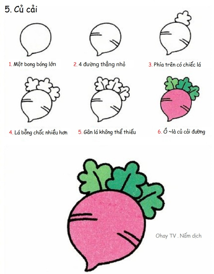 Dạy bé vẽ hình đơn giản - Các loại rau củ quả - hình ảnh 15