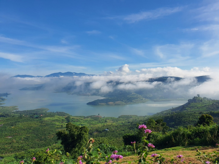 🧐🧐Những dự án lớn nào sẽ được thu hút đầu tư vào huyện Di Linh, tỉnh Lâm Đồng trong thời gian tới?????🤫🤫
