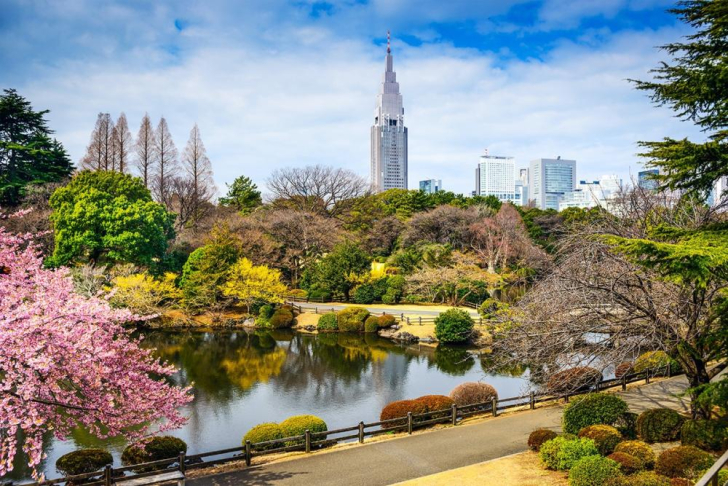 Công viên Shinjuku Gyoen: Một ốc đảo xanh giữa lòng Tokyo