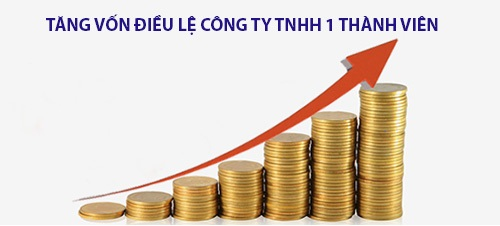 Các hình thức tăng vốn điều lệ công ty TNHH MTV theo quy định của Luật ...