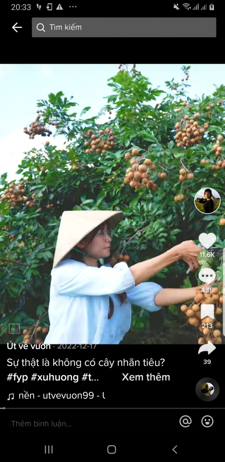 Các kênh tiktok về nơi đồng quê giản dị giúp bạn yên bình