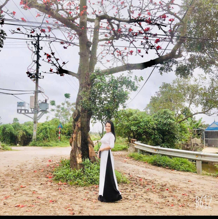 Song tấu: Khúc giao mùa
