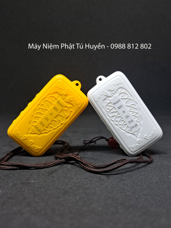 BỞI VÌ THẤU HIỂU, CHO NÊN TỪ BI