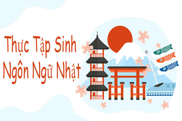 Học ngành Ngôn ngữ Nhật thực tập ở đâu? Lợi ích của thực tập sinh tiếng Nhật là gì?