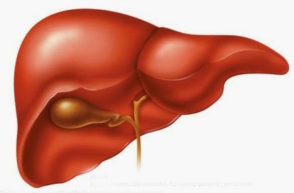 5 cách giải độc gan ở nhà hiệu quả nhất