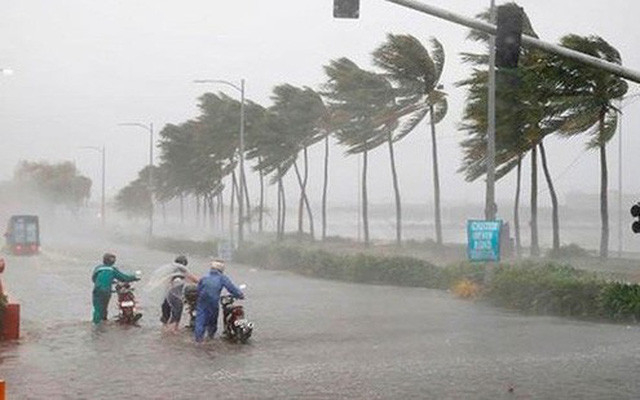 Cách chuẩn bị ứng phó khi bão tiến đến