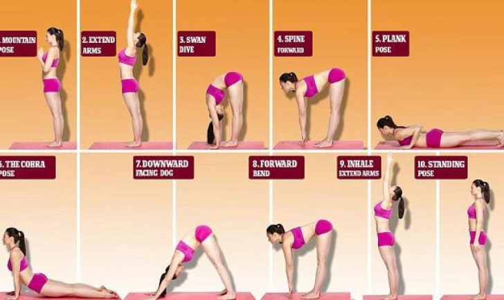 Bài Tập The Swan-Dive: Tầm Quan Trọng và Cách Thực Hiện