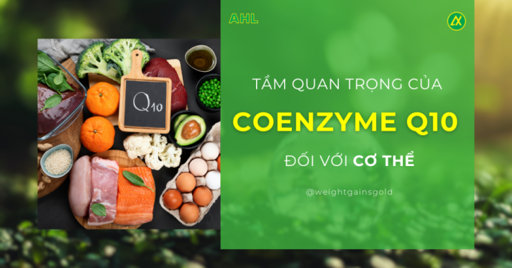 Tầm Quan Trọng Của Coenzym Q10 Đối Với Cơ Thể