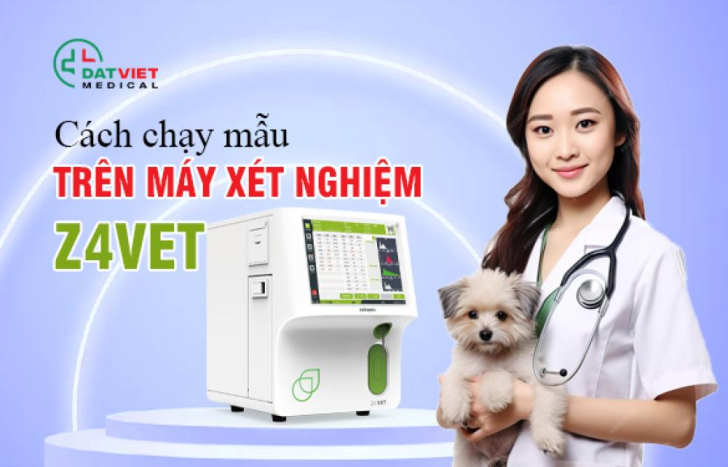 Chạy mẫu trên máy xét nghiệm Z4VET như thế nào là đúng?