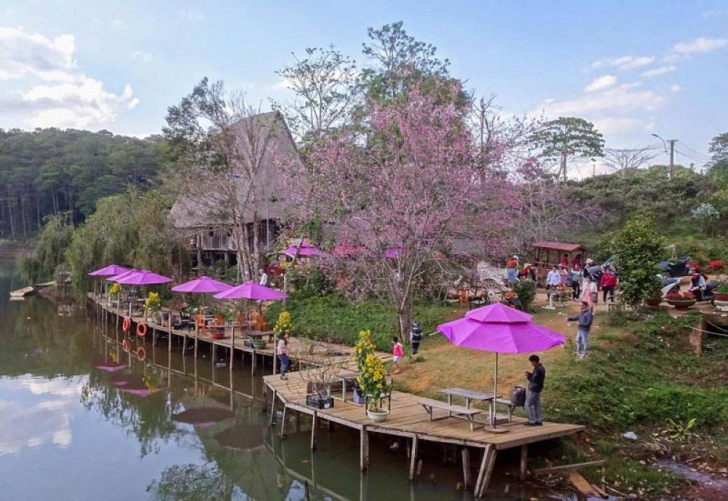 Chi Phí Tour Du Lịch Măng Đen: Có Đắt Không và Bao Gồm Những Gì?