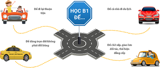 Lý do nên học bằng lái B1 và học ở đâu là tốt nhất?