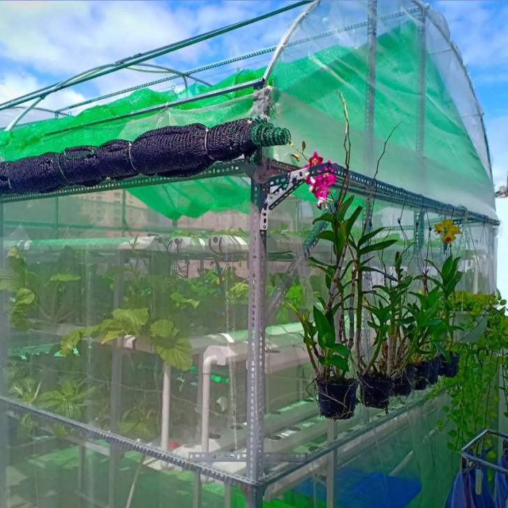 Lưới Chống Côn Trùng Cho Nhà Màng Hàng Việt Nam Khổ 2m15