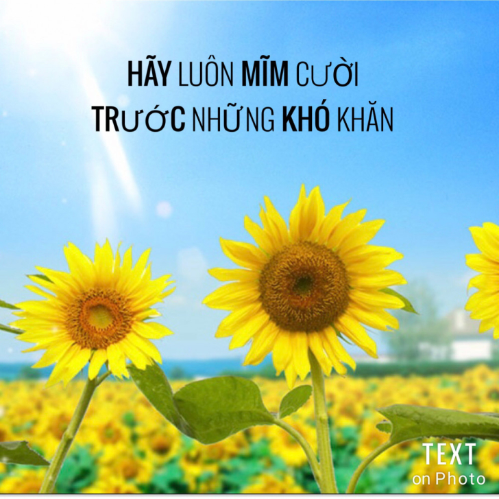 Đời người hãy vui vẻ, lạc quan rồi mọi chuyện sẽ ổn thôi!