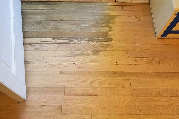 Sàn gỗ bị mốc phải làm sao? Cách xử lý nhanh chóng sàn gỗ