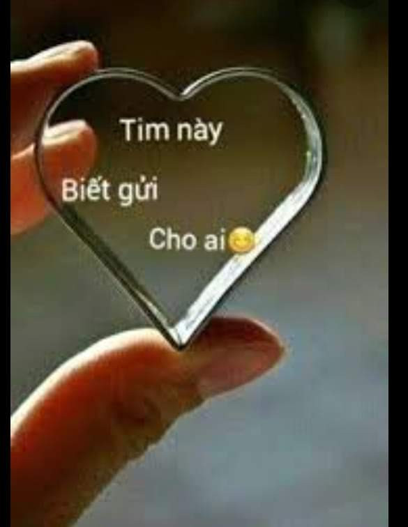 TÌM NHAU NƠI ĐÂU