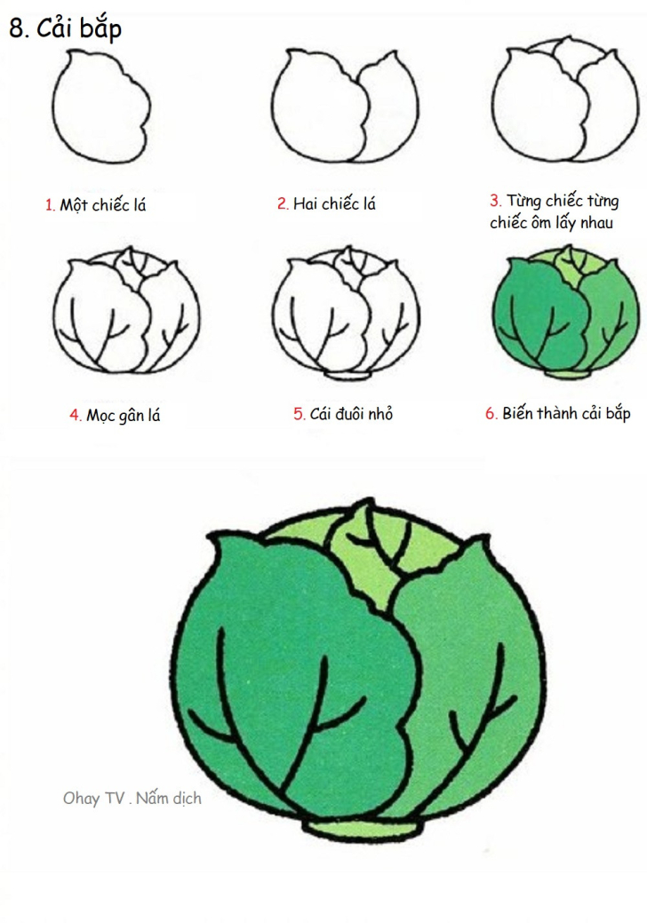Dạy bé vẽ hình đơn giản - Các loại rau củ quả - hình ảnh 18