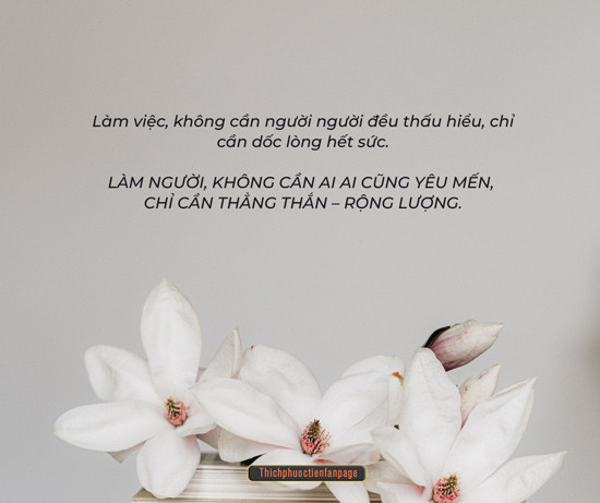 Hoa dại trong núi sâu dù không ai thưởng thức vẫn tỏa hương thơm ngát 🌼🌼🌼