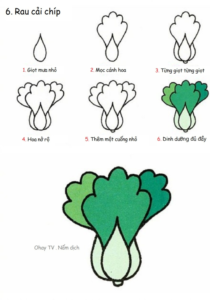 Dạy bé vẽ hình đơn giản - Các loại rau củ quả - hình ảnh 16